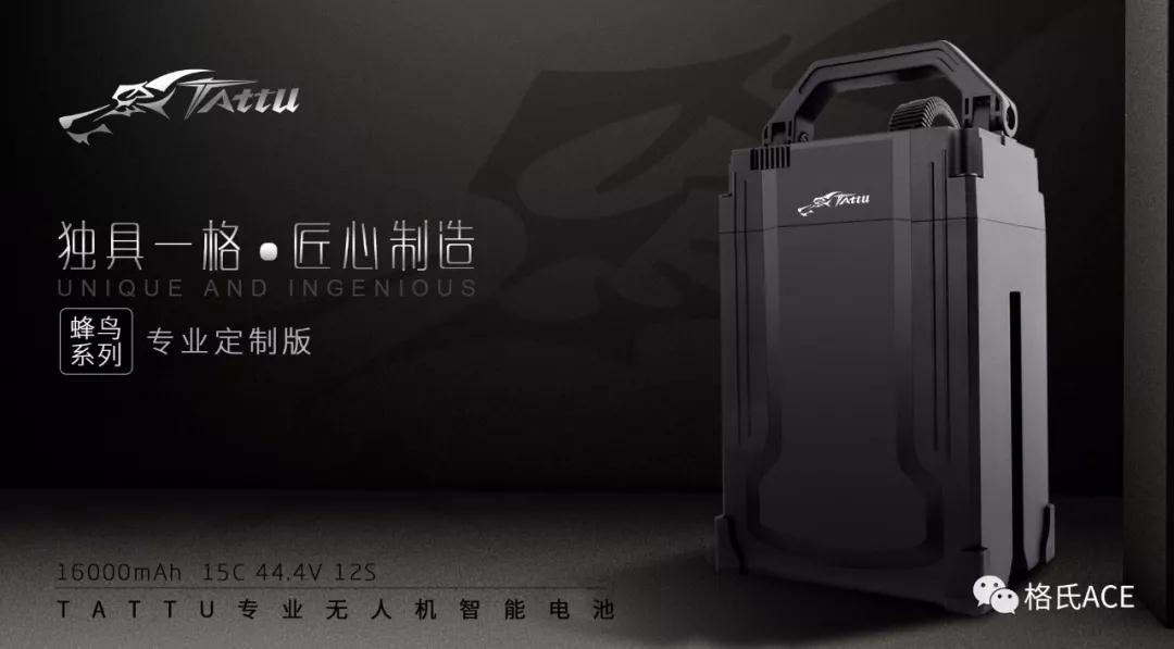 格氏峰鳥電池