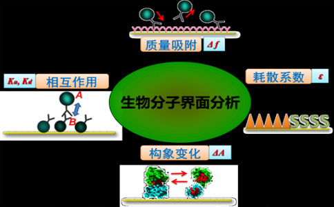 生物電解質