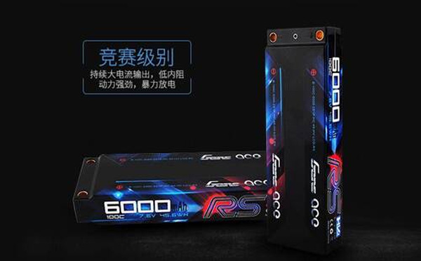 GS牌電池
